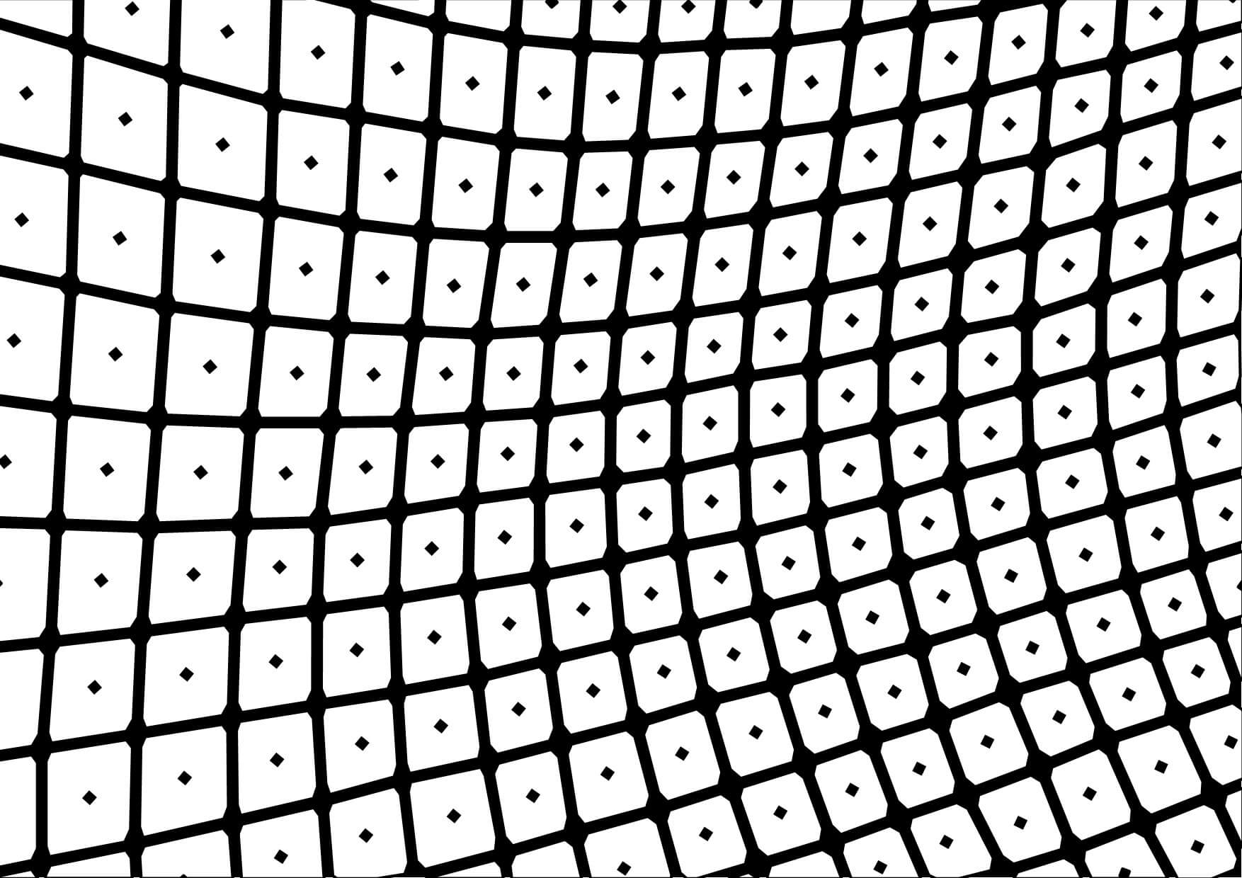 Plastic grid